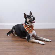 Load image into Gallery viewer, Pet Bandana Set