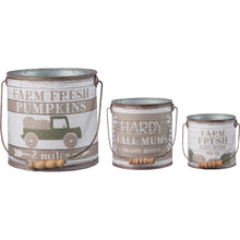 Load image into Gallery viewer, Fresh Pumpkins, Fall Mums, Gourd Tin Buckets