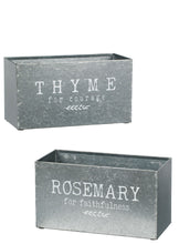 Load image into Gallery viewer, Rosemary / Thyme Planters