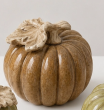 Load image into Gallery viewer, 5" Autumn Color Ceramic Pumpkins
