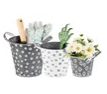 Daisy Bucket Set