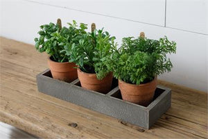 Assorted Herbs in Wooden Tray