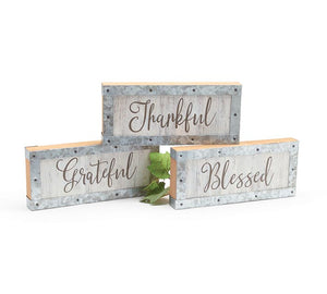 Thankful Grateful Blessed Sitter Assortment