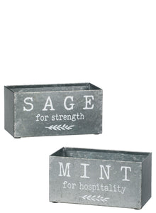 Mint and Sage Planters